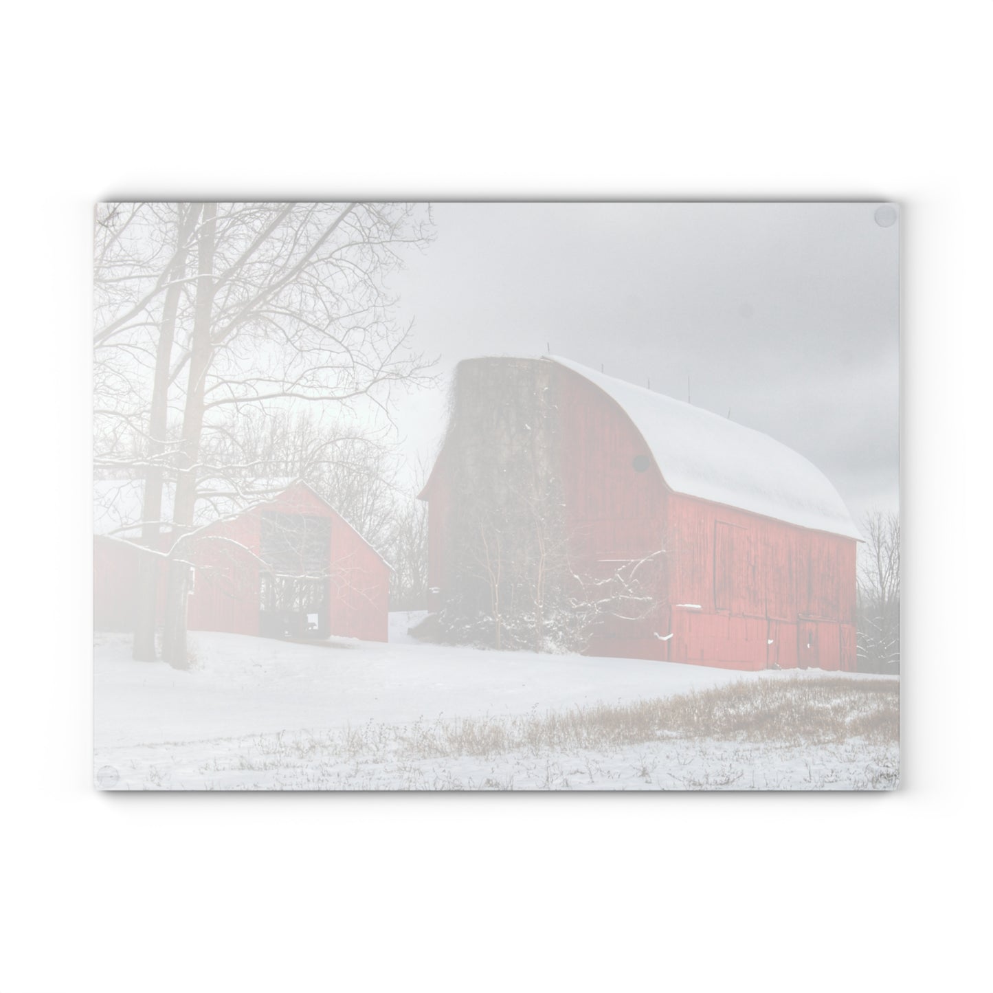 U R There Photography Catlin Reds in Winter I Rustic Farmhouse Tempered-Glass Cutting Board