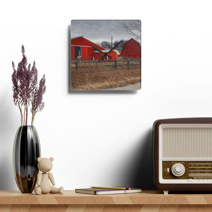 U R There Photography January Reds Rustic Farmhouse Acrylic Analog Wall Clock