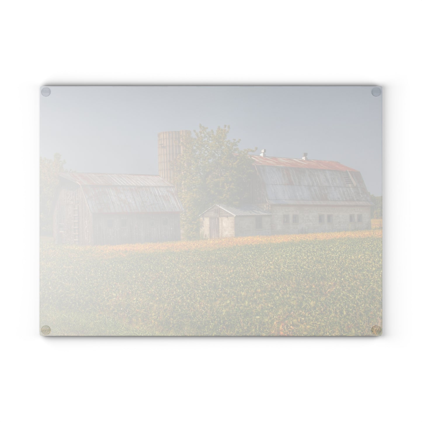 U R There Photography Swaffer Road Duo Rustic Farmhouse Tempered-Glass Cutting Board