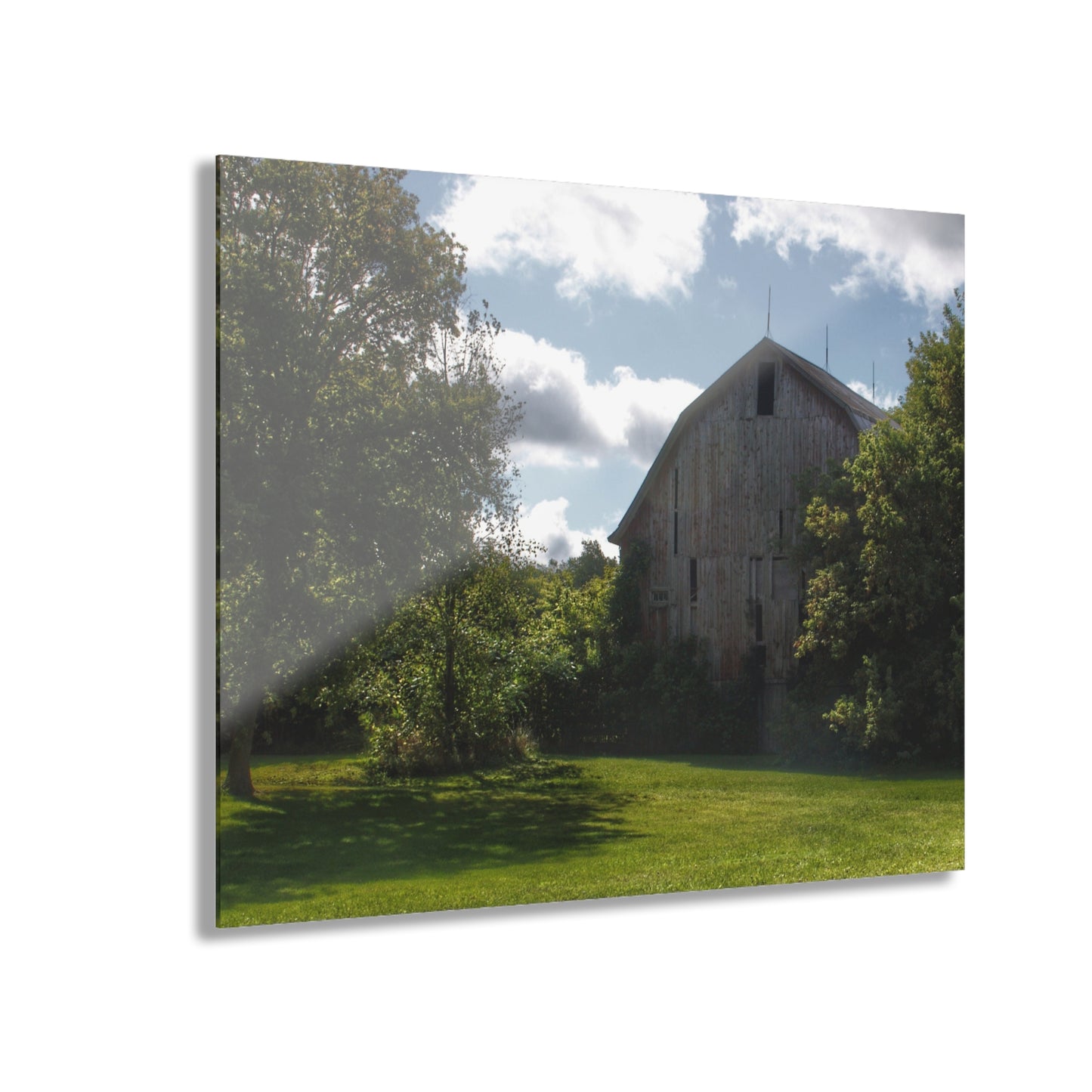 U R There Photography Oakwood Grey Rustic Farmhouse Acrylic Wall Print