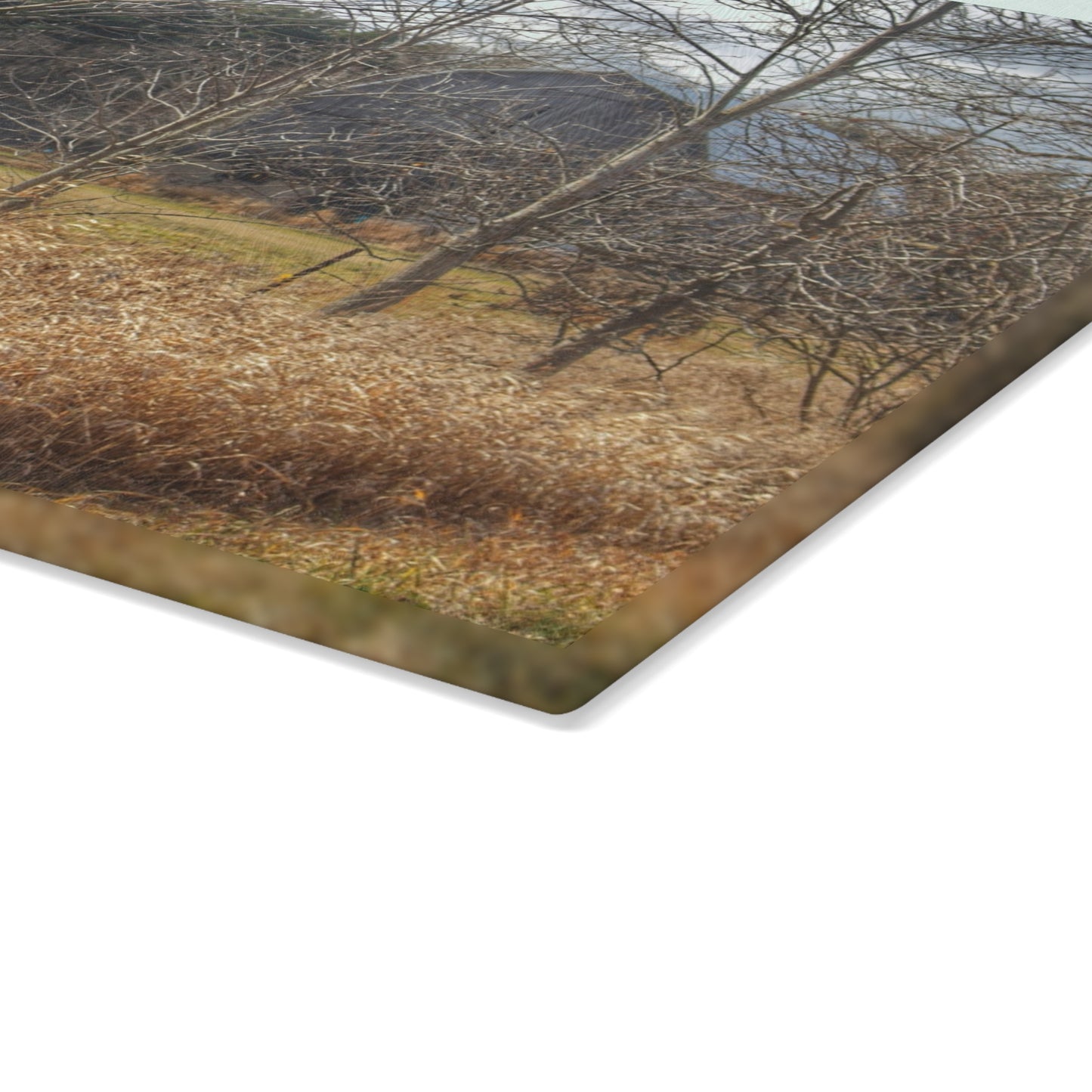 U R There Photography Speaker Road Hidden Grey Rustic Farmhouse Tempered-Glass Cutting Board