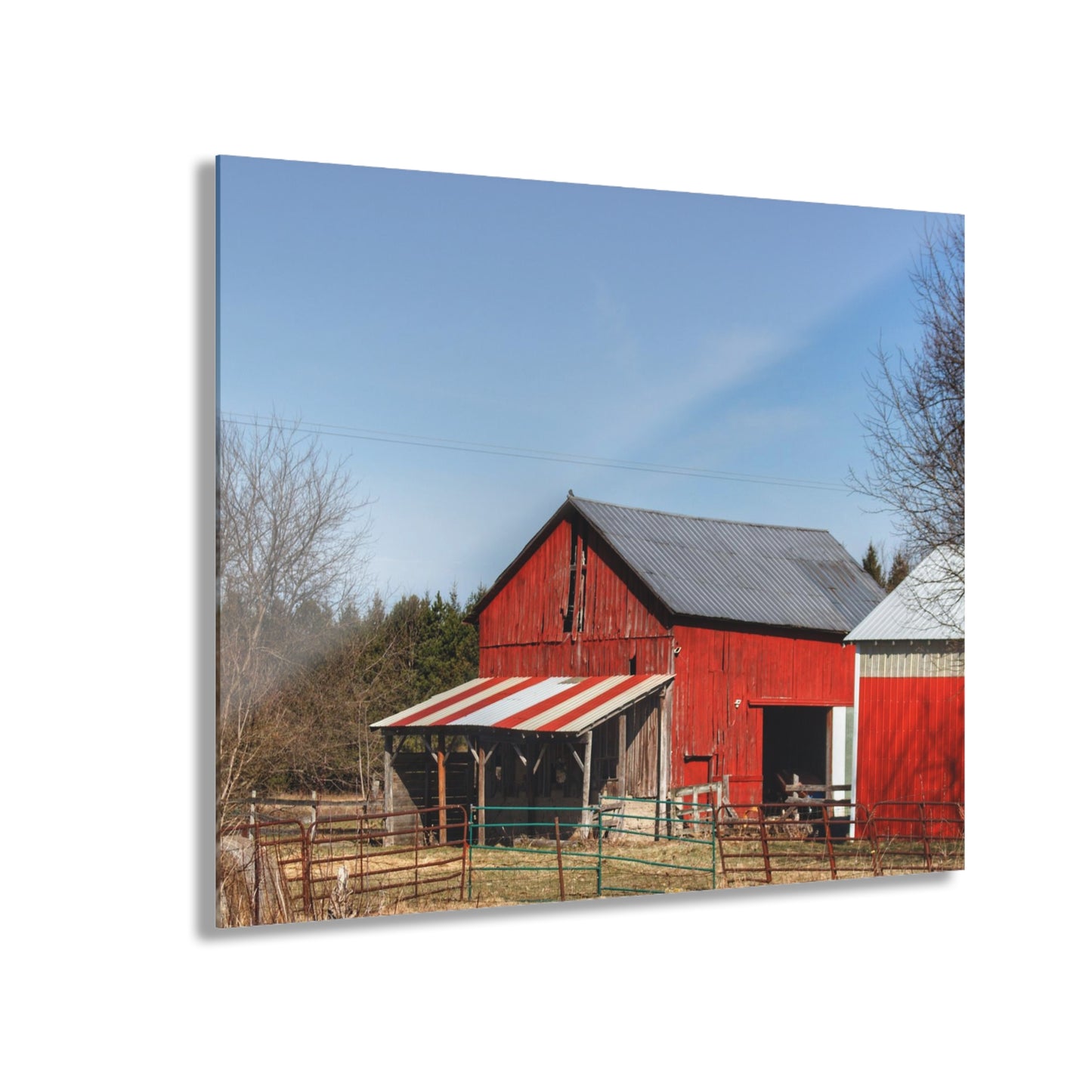 U R There Photography Cass City Carousel Red Rustic Farmhouse Acrylic Wall Print