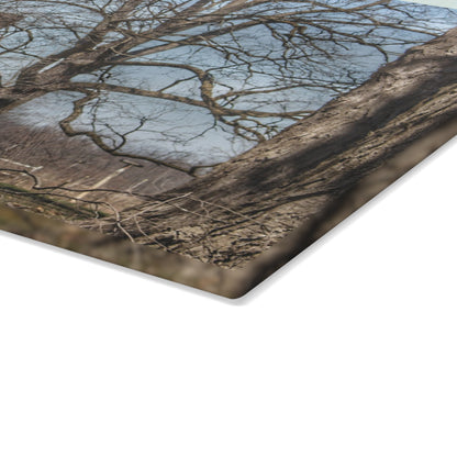 U R There Photography Hill Road Red Rustic Farmhouse Tempered-Glass Cutting Board