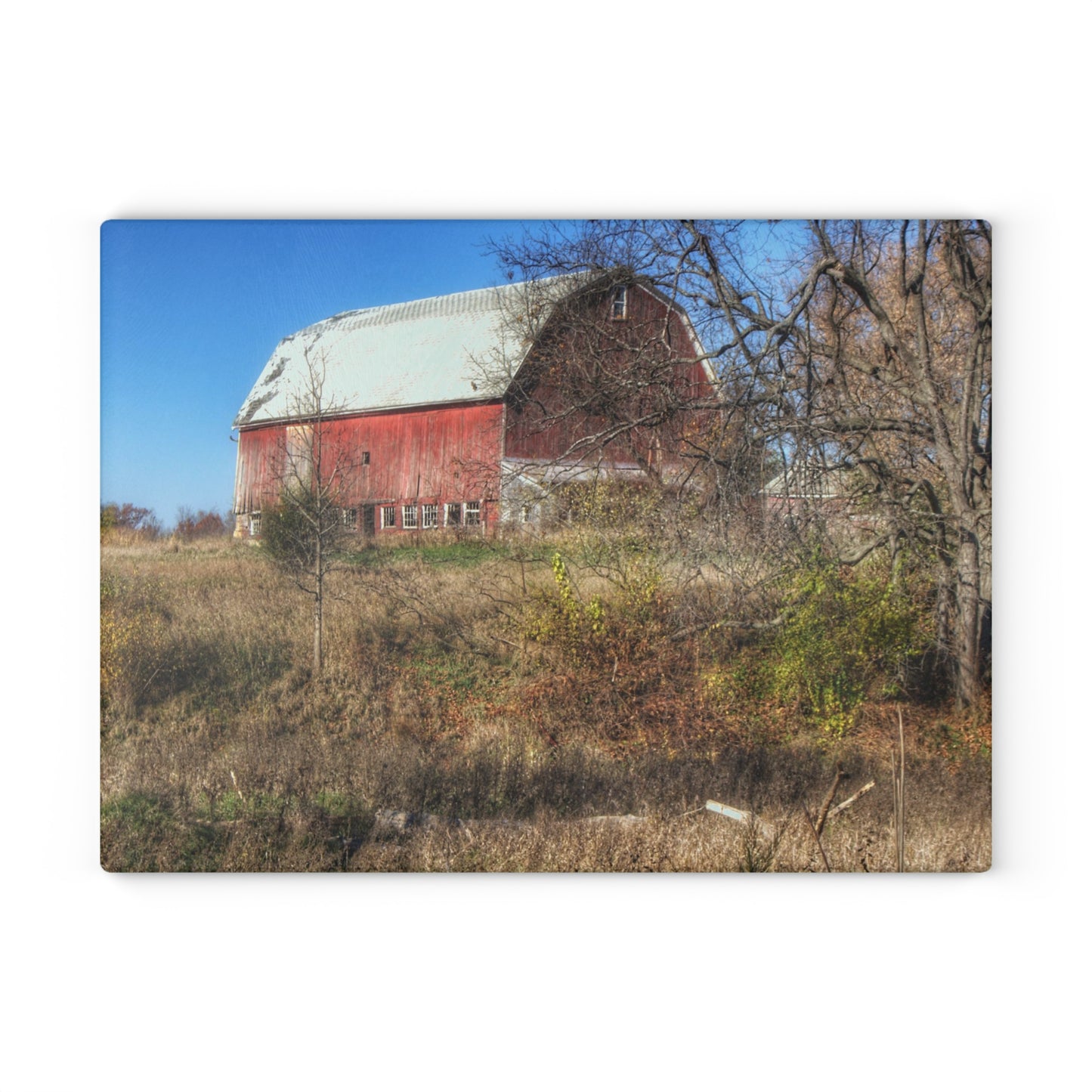 U R There Photography Hadley Red I Rustic Farmhouse Tempered-Glass Cutting Board