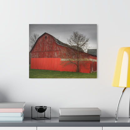 Barn Boutique Modern Farmhouse Acrylic Wall Print| Almont Roadside Reds