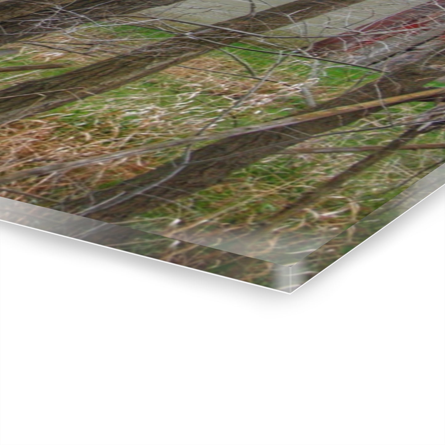 U R There Photography Lake George Red I Rustic Farmhouse Acrylic Wall Print