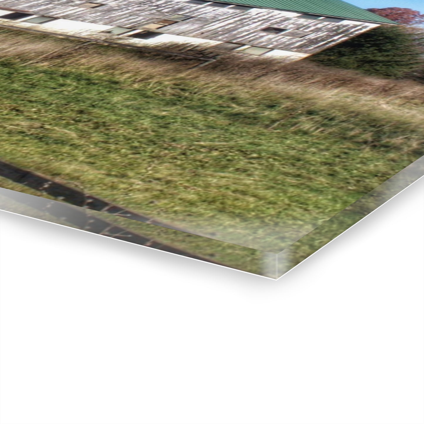 U R There Photography Hadley White Rustic Farmhouse Acrylic Wall Print