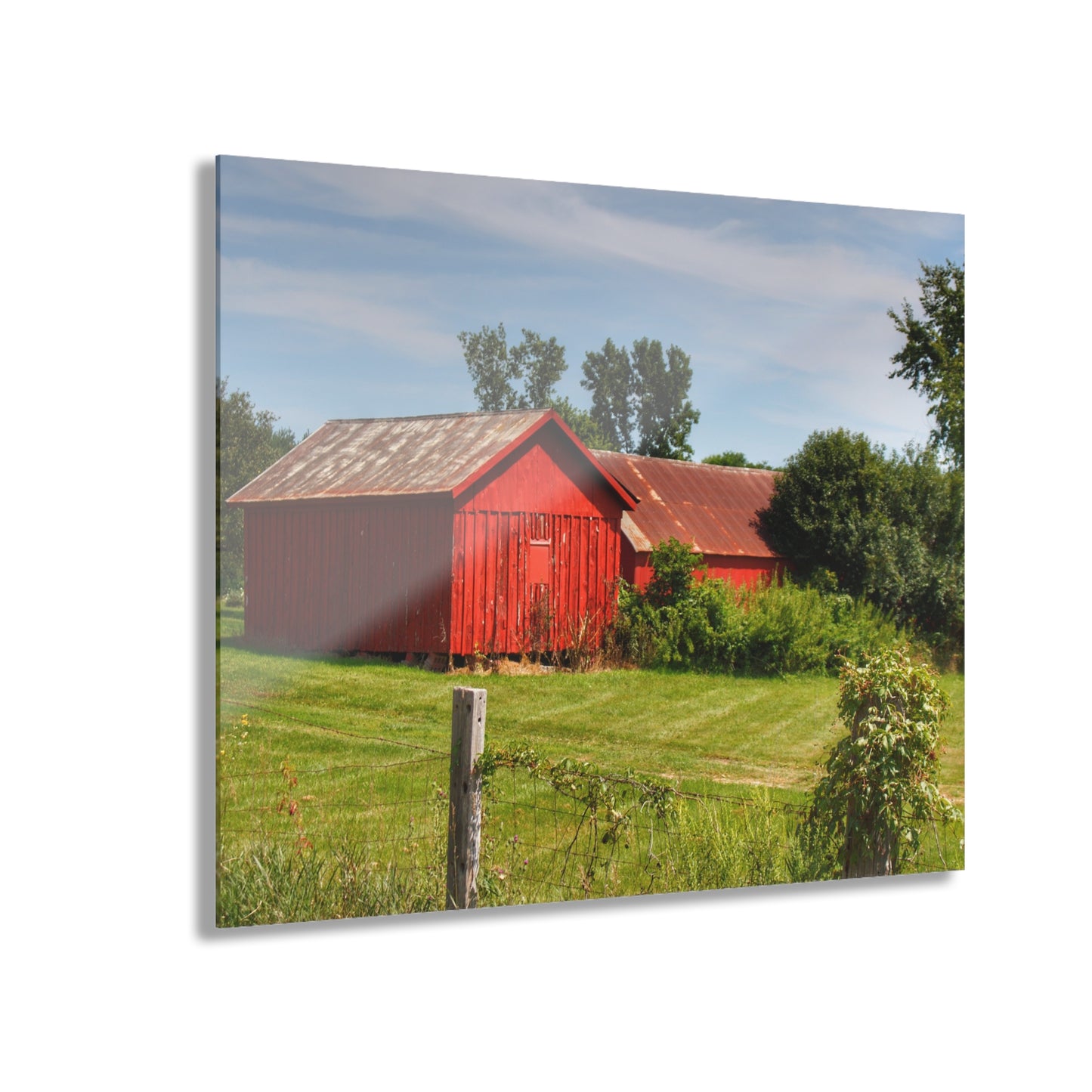 U R There Photography South Oak Road Reds II Rustic Farmhouse Acrylic Wall Print