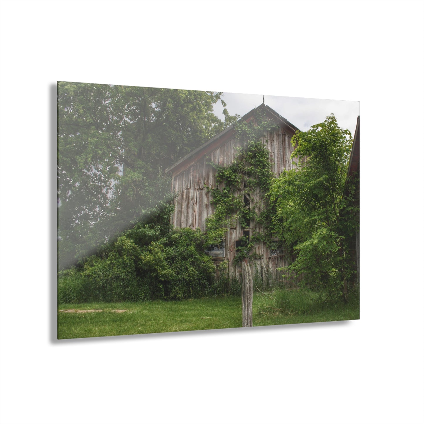 U R There Photography Imlay Hidden Rustic Farmhouse Acrylic Wall Print