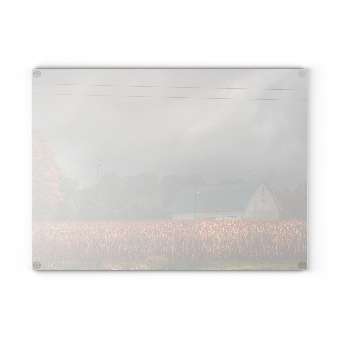 U R There Photography Saginaw Road White Rustic Farmhouse Tempered-Glass Cutting Board