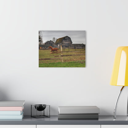 U R There Photography South Summers Road Old Grey and Caramel III Rustic Farmhouse Acrylic Wall Print