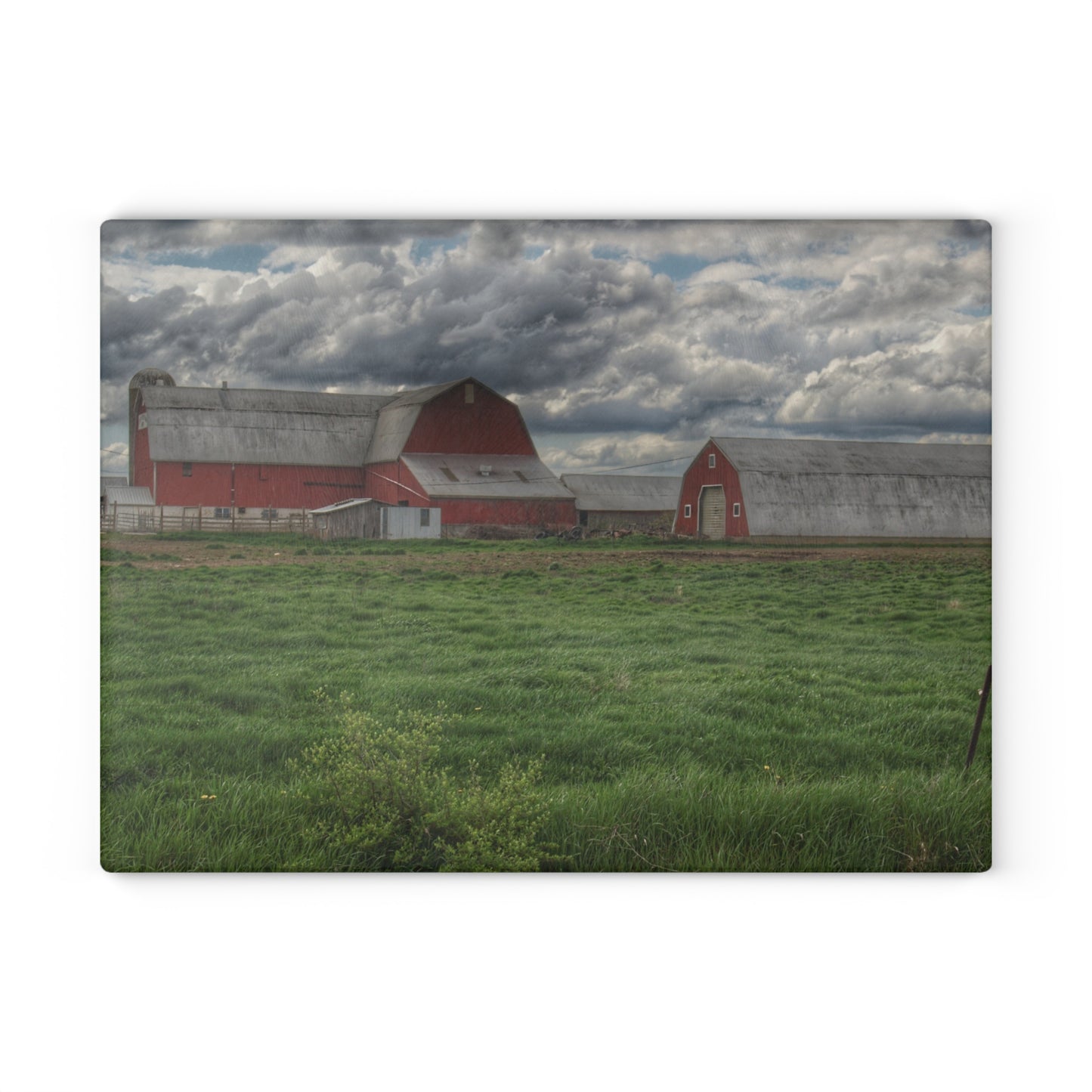 U R There Photography Northern Sandusky Reds Rustic Farmhouse Tempered-Glass Cutting Board