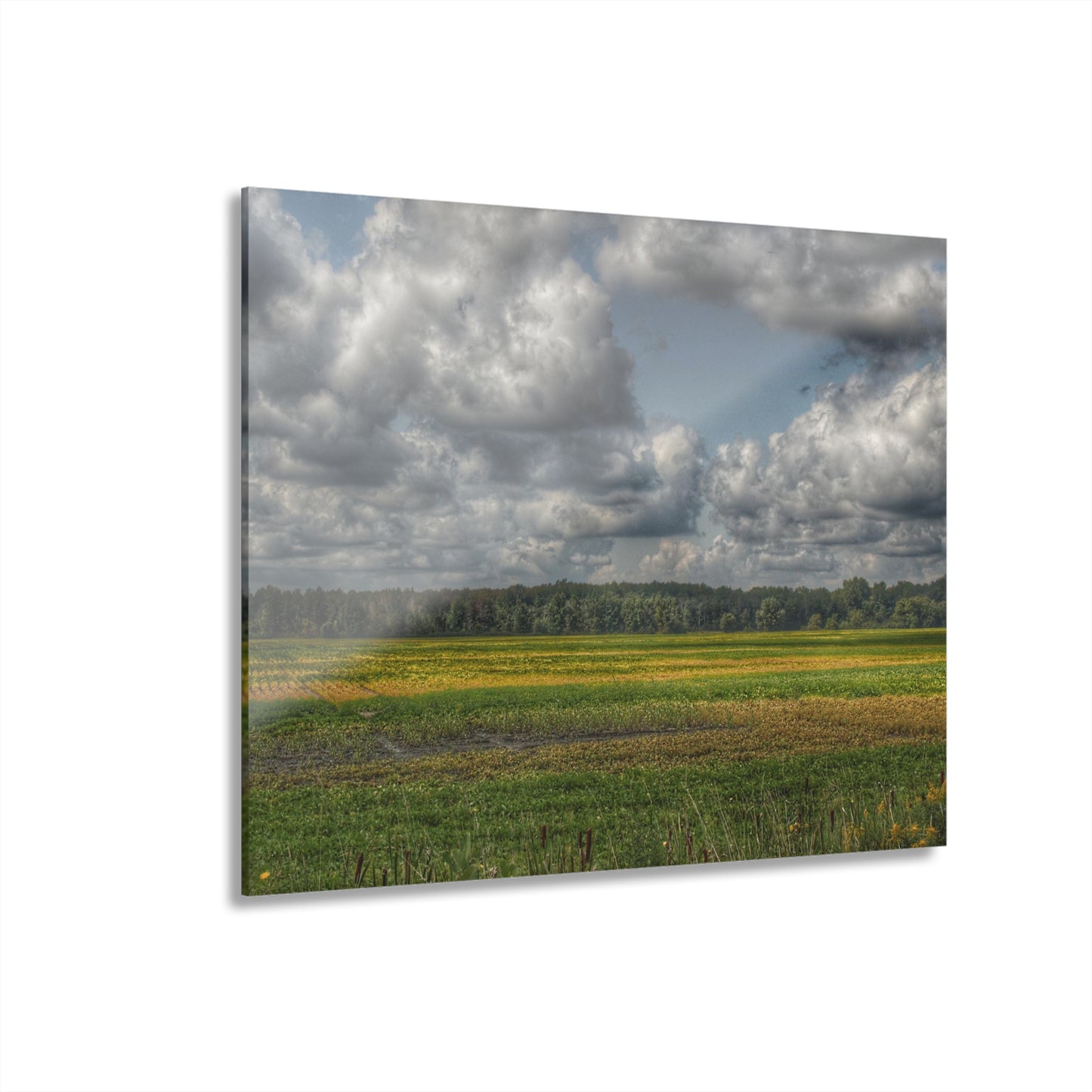 U R There Photography Skies of September Rustic Farmhouse Acrylic Wall Print