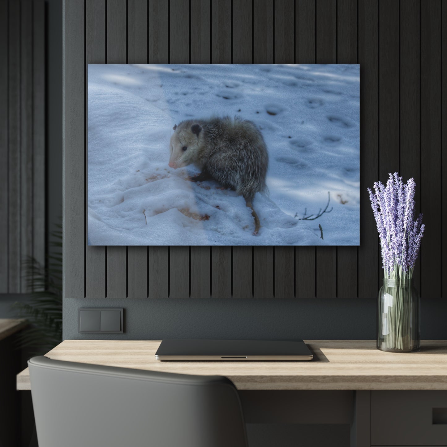 U R There Photography Sutton Road Possum Rustic Farmhouse Acrylic Wall Print