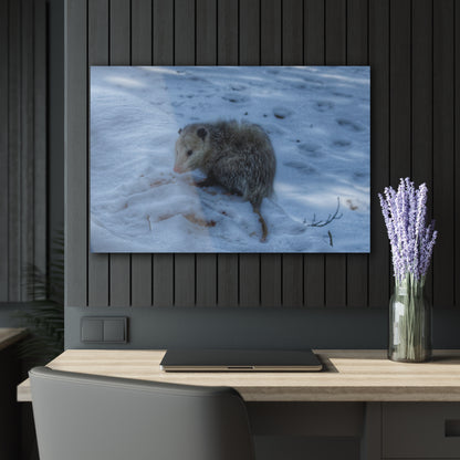 U R There Photography Sutton Road Possum Rustic Farmhouse Acrylic Wall Print
