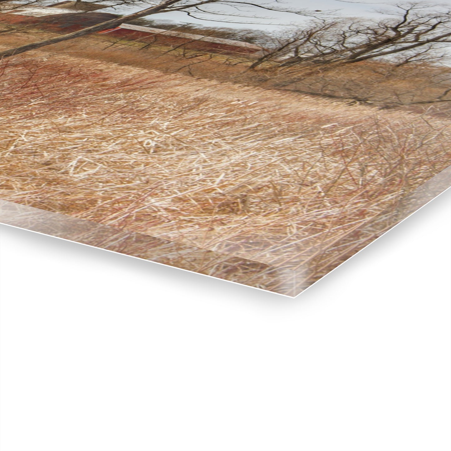 U R There Photography Hough Road Hidden Reds Rustic Farmhouse Acrylic Wall Print