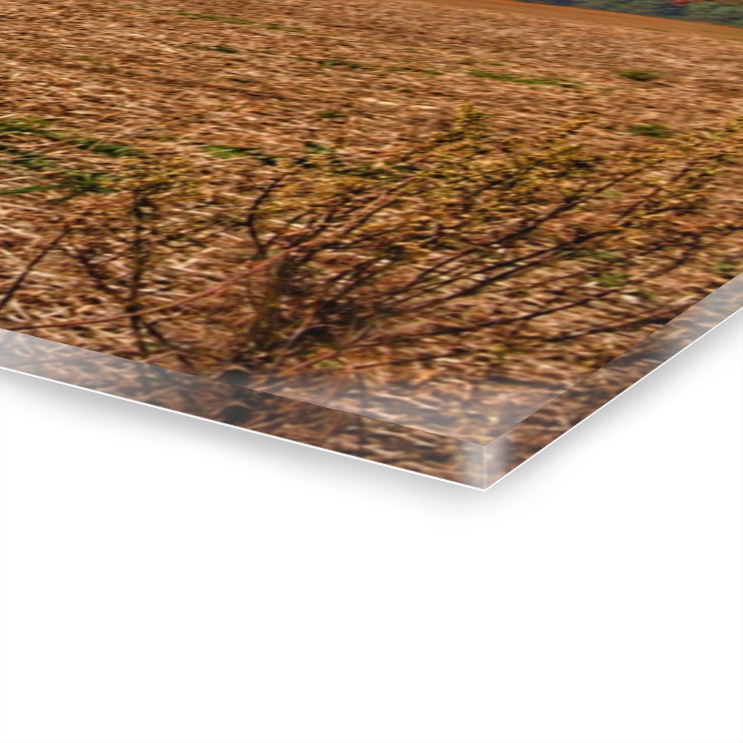 U R There Photography Rowe Road Farm Across the Field Rustic Farmhouse Acrylic Wall Print