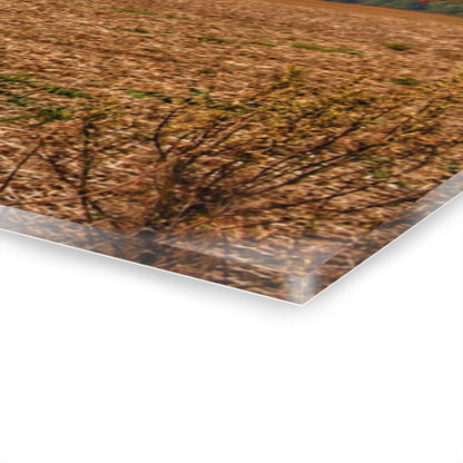 U R There Photography Rowe Road Farm Across the Field Rustic Farmhouse Acrylic Wall Print