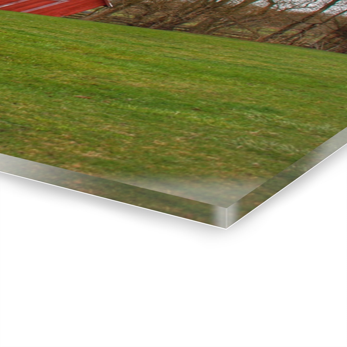 U R There Photography Lake George Red II Rustic Farmhouse Acrylic Wall Print