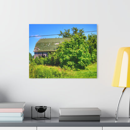U R There Photography Hidden Grey of Hunters Creek Rustic Farmhouse Acrylic Wall Print