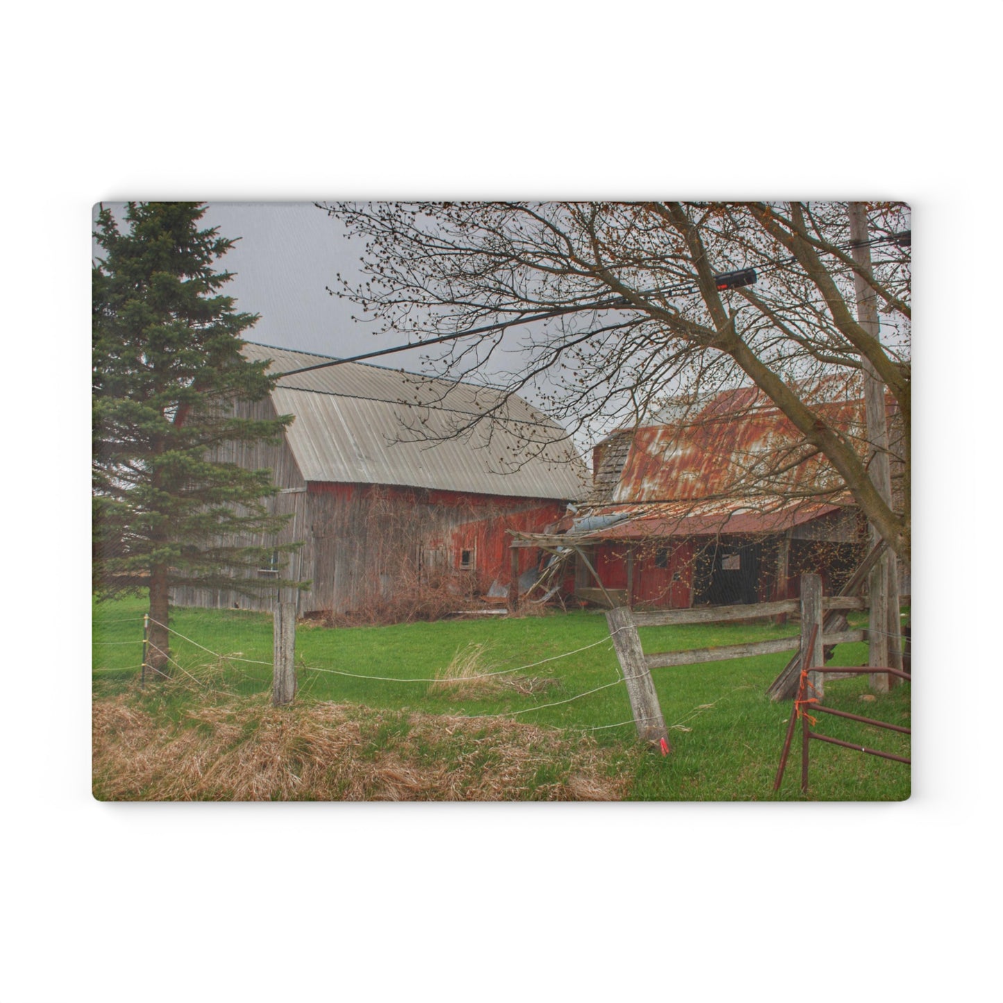U R There Photography Dodge Road Forgotten Greys Rustic Farmhouse Tempered-Glass Cutting Board