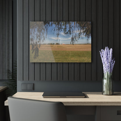 U R There Photography Cass City Farm Rustic Farmhouse Acrylic Wall Print