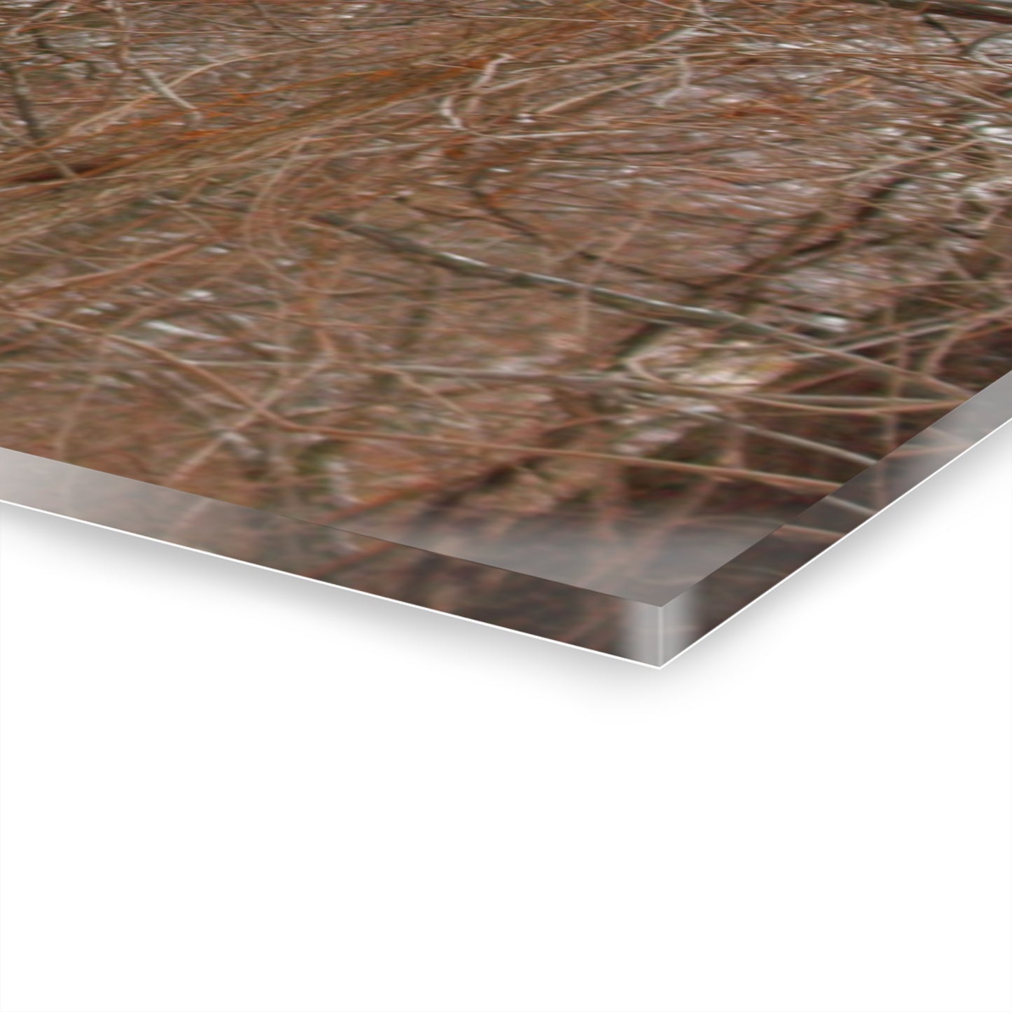 U R There Photography Hough Road Hidden Winter Red I Rustic Farmhouse Acrylic Wall Print