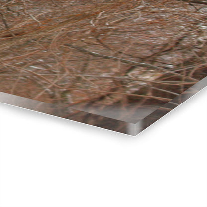 U R There Photography Hough Road Hidden Winter Red I Rustic Farmhouse Acrylic Wall Print