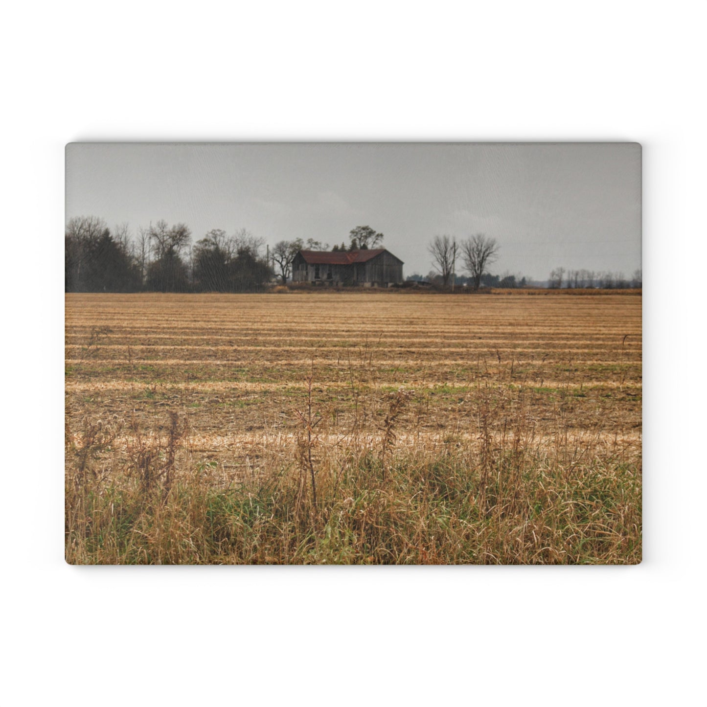 U R There Photography Freiberger Road Grey Across the Field Rustic Farmhouse Tempered-Glass Cutting Board