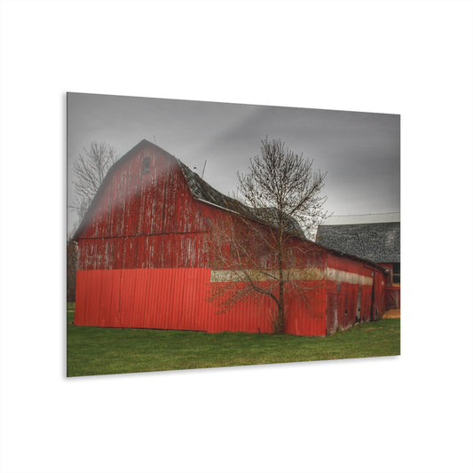 U R There Photography Almont Reds Rustic Farmhouse Acrylic Wall Print