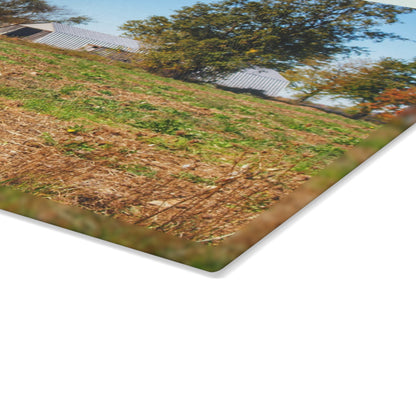 U R There Photography Freiberger Road Greys Rustic Farmhouse Tempered-Glass Cutting Board