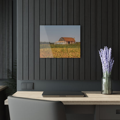 U R There Photography Slattery Road Saltbox Grey Rustic Farmhouse Acrylic Wall Print