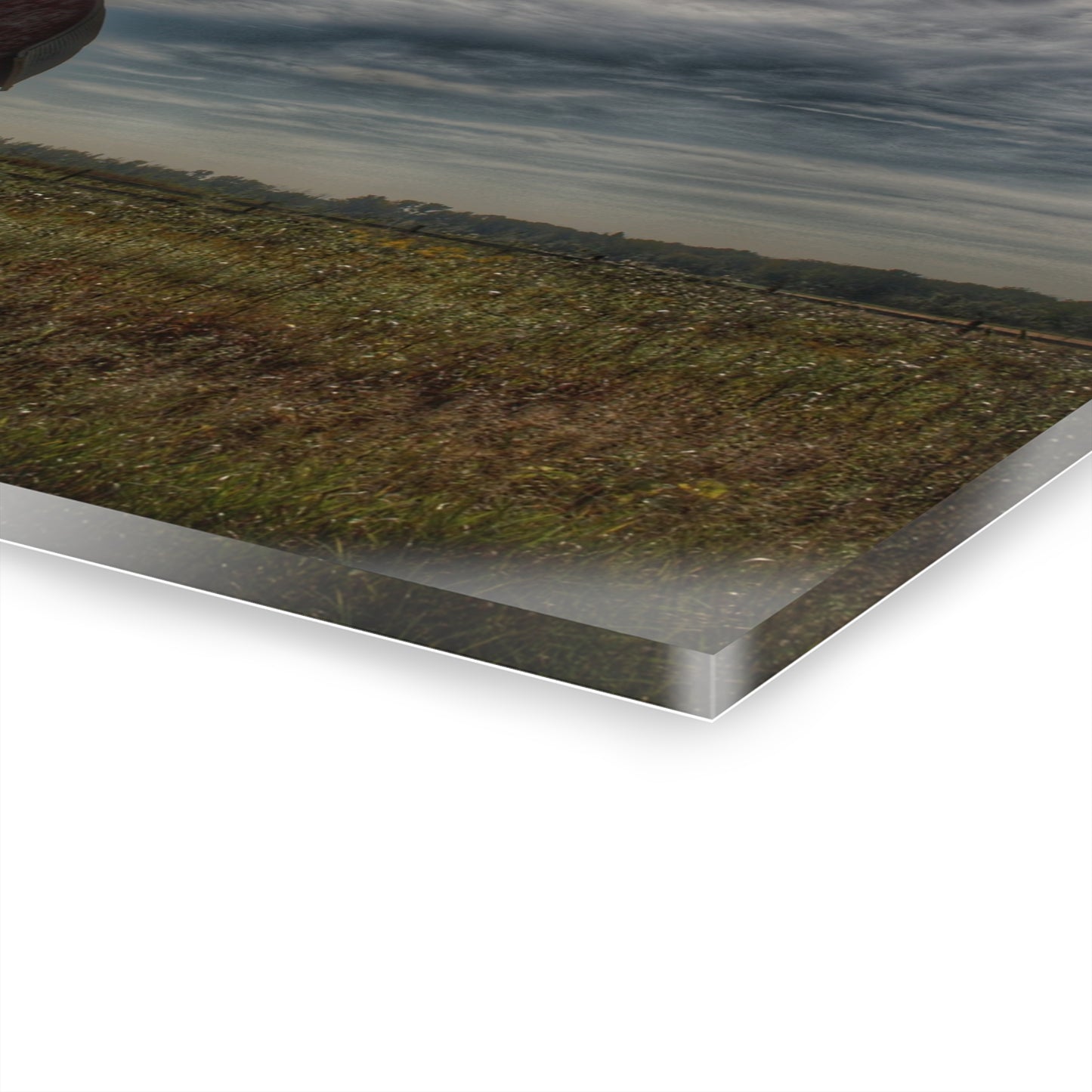 U R There Photography Mushroom Road Red I Rustic Farmhouse Acrylic Wall Print