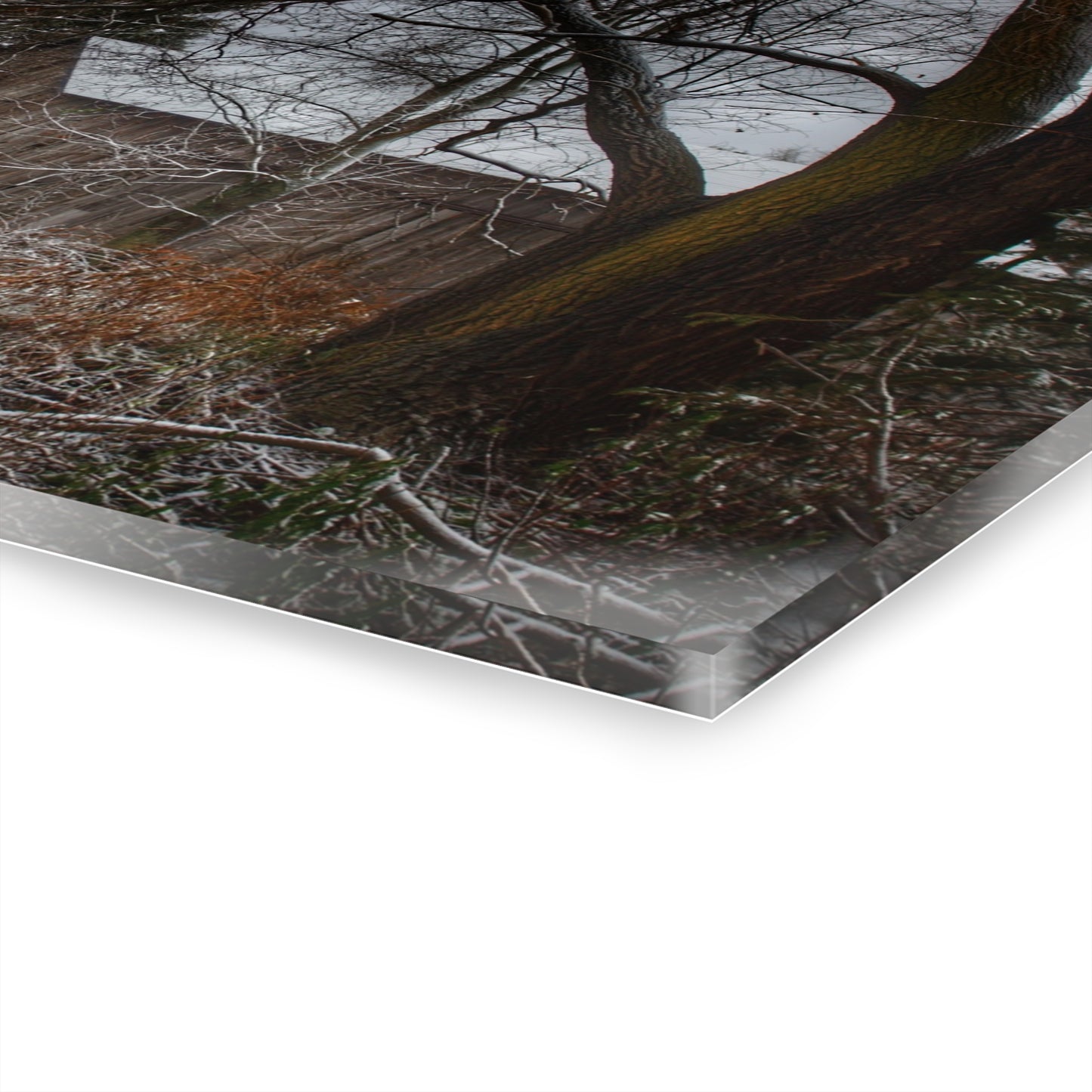 U R There Photography Willard Road Hidden Grey Rustic Farmhouse Acrylic Wall Print