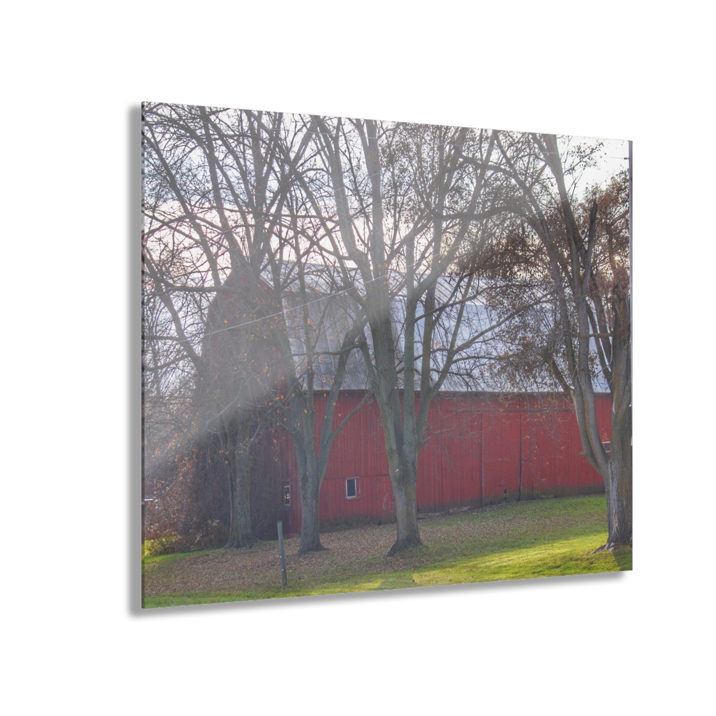 U R There Photography Vienna Road Hidden Red Rustic Farmhouse Acrylic Wall Print