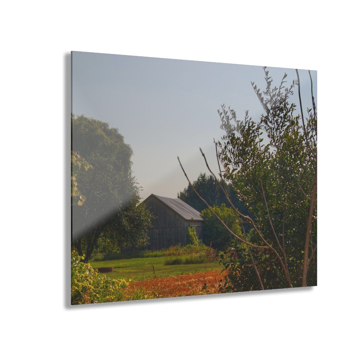 U R There Photography Clifford Hidden Grey Rustic Farmhouse Acrylic Wall Print