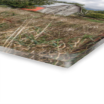 U R There Photography East Frances Road Hidden Grey I Rustic Farmhouse Acrylic Wall Print