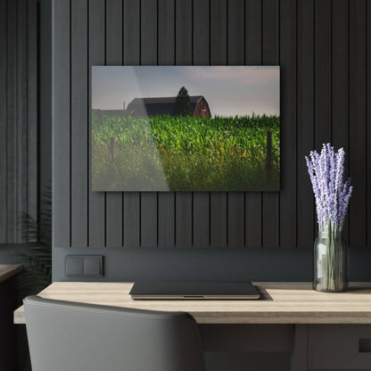 Barn Boutique Modern Farmhouse Acrylic Wall Print| Beyond the Corn in Metamora