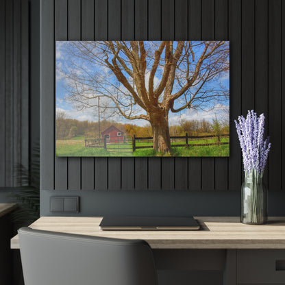 U R There Photography Delano Oak and Little Red Rustic Farmhouse Acrylic Wall Print