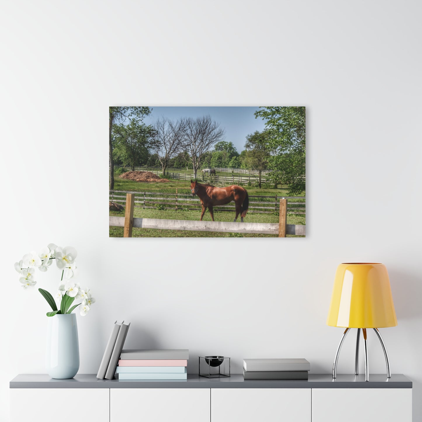 Barn Boutique Modern Farmhouse Acrylic Wall Print| Summer Road Ponies I