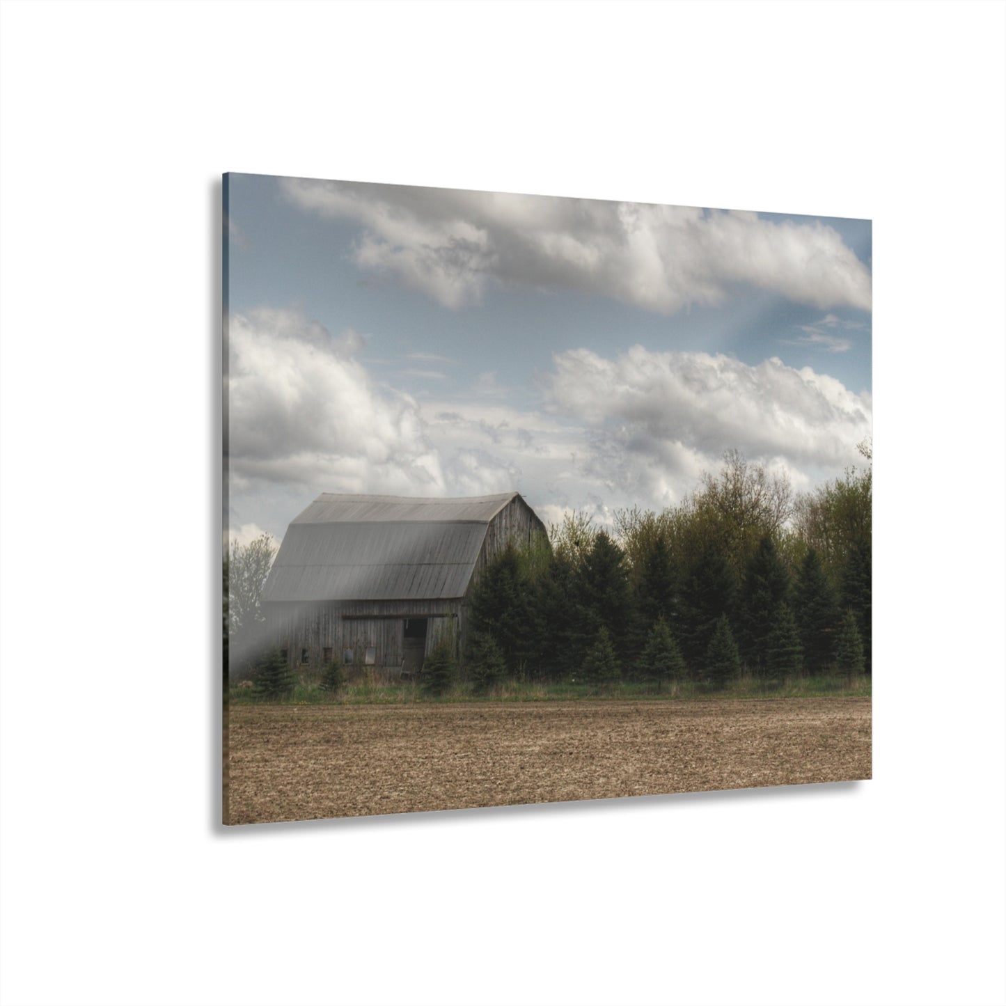 U R There Photography Sandusky Grey in the Pines Rustic Farmhouse Acrylic Wall Print