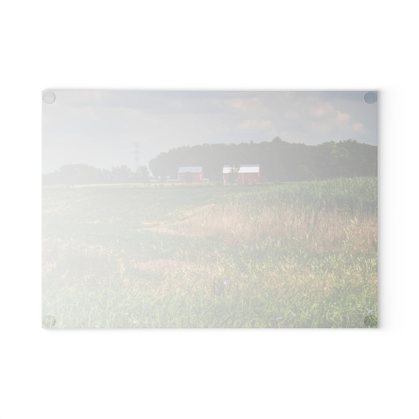 U R There Photography Across the Field in Elba II Rustic Farmhouse Tempered-Glass Cutting Board