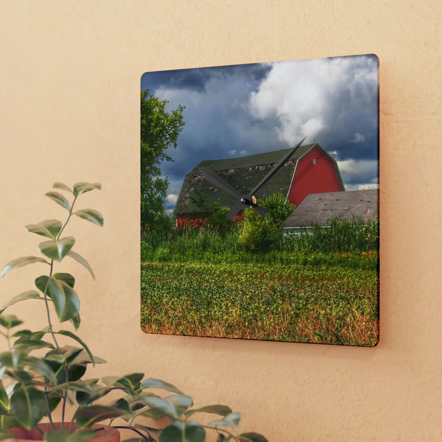 U R There Photography Shelby Red IV Rustic Farmhouse Acrylic Analog Wall Clock