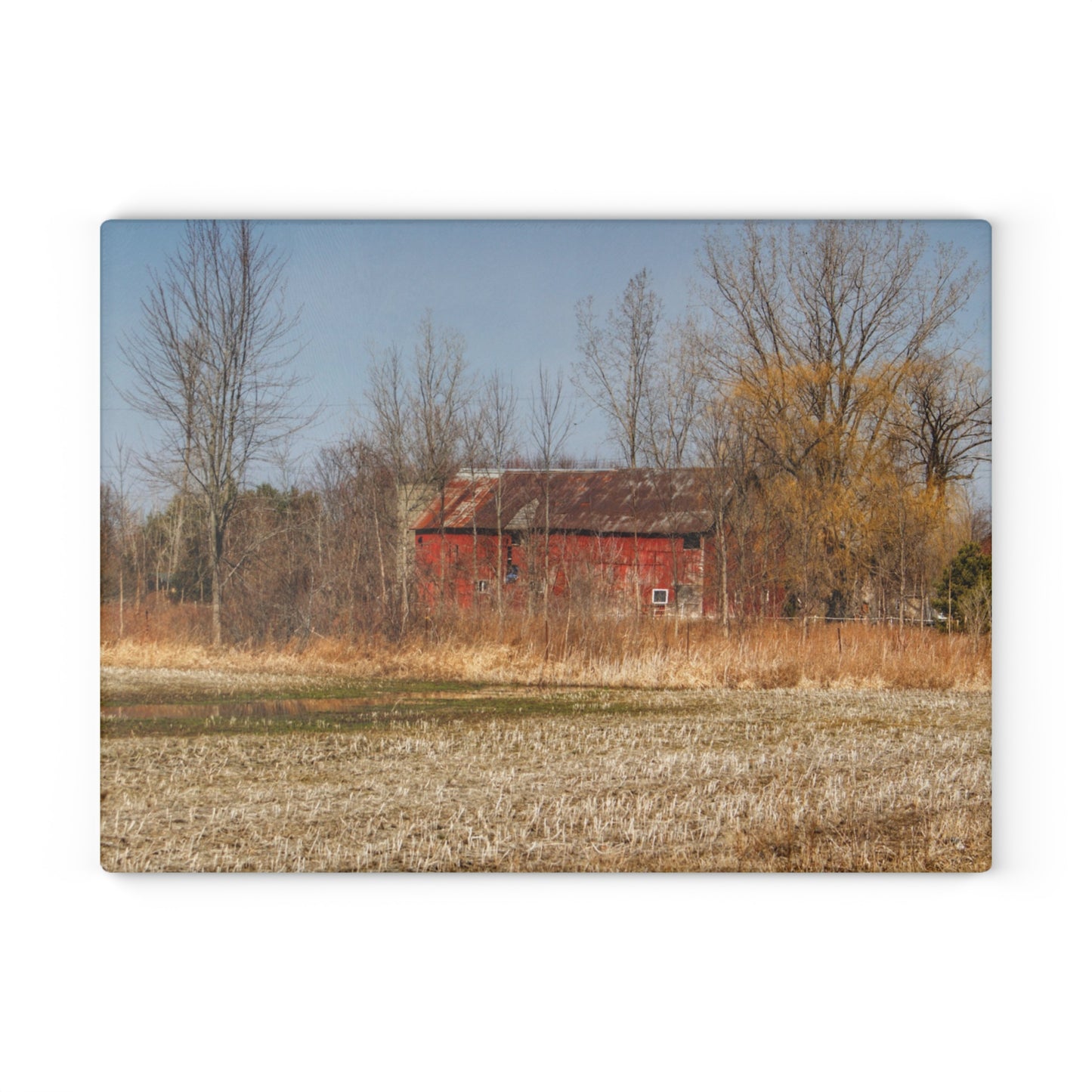 U R There Photography Hidden Scotch Settlement Red Rustic Farmhouse Tempered-Glass Cutting Board