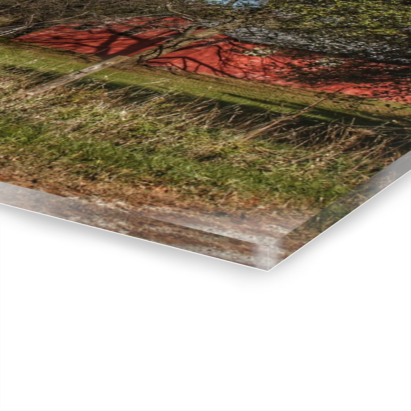 U R There Photography Genesee Road Red III Rustic Farmhouse Acrylic Wall Print