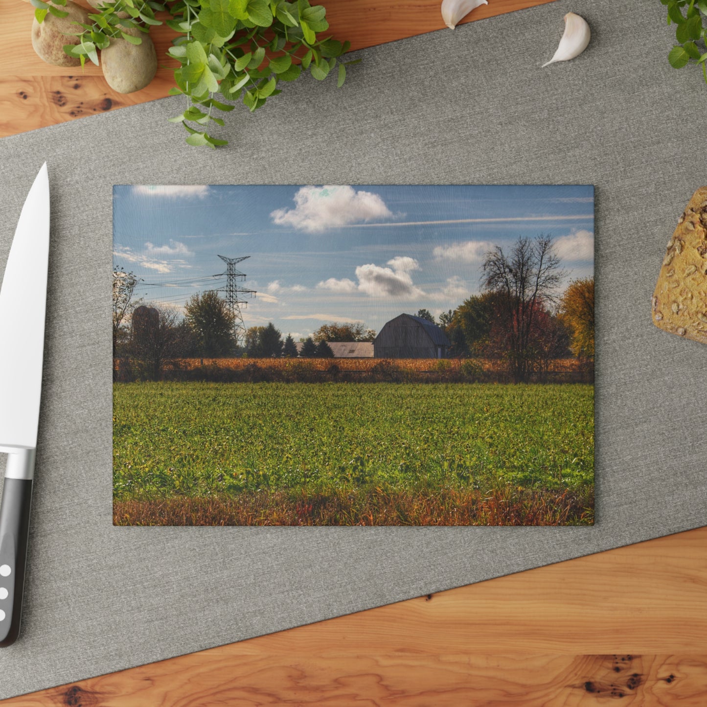 U R There Photography Wadsworth Road Grey Rustic Farmhouse Tempered-Glass Cutting Board