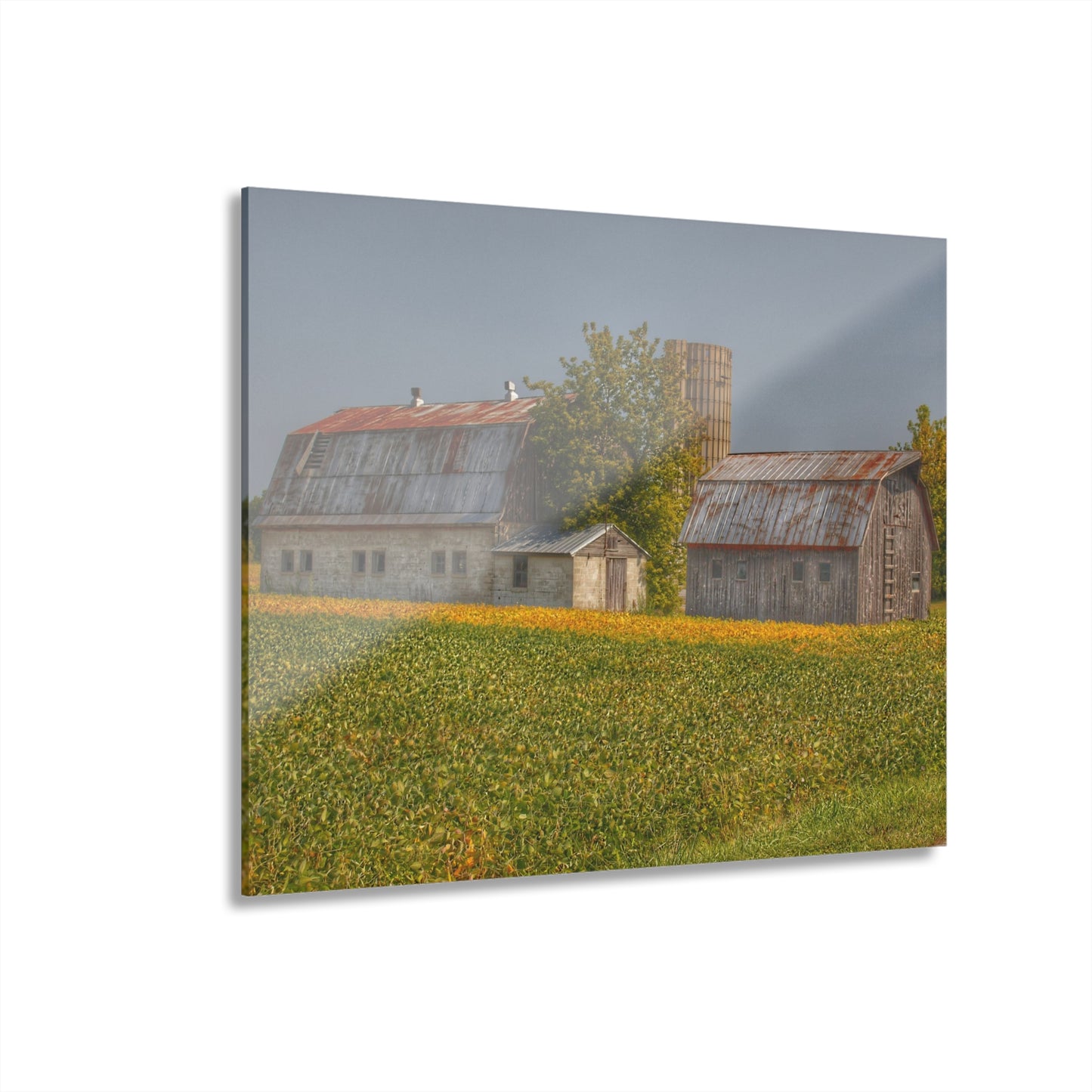 U R There Photography Swaffer Road Duo Rustic Farmhouse Acrylic Wall Print