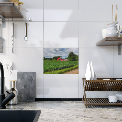 U R There Photography Block Road Reds Rustic Farmhouse Decorative Ceramic Tile