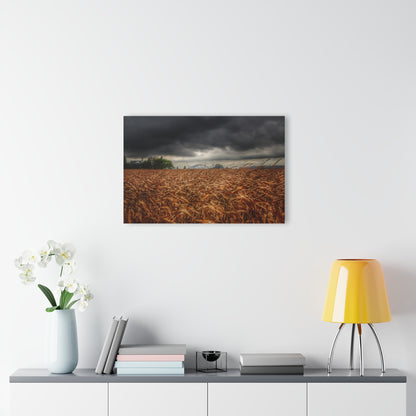 U R There Photography Garner Road Hidden White Rustic Farmhouse Acrylic Wall Print