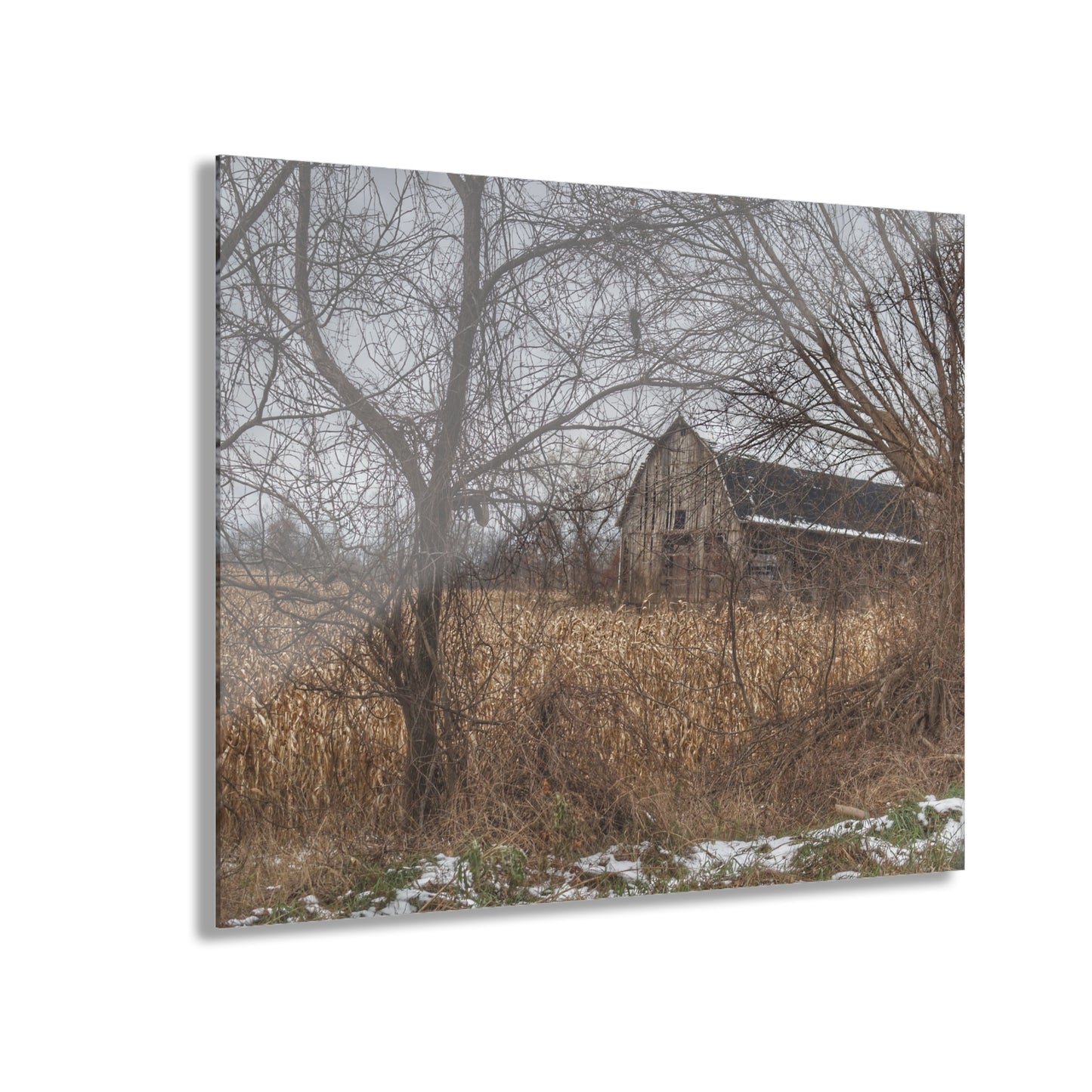 U R There Photography North Oxford Road Grey I Rustic Farmhouse Acrylic Wall Print